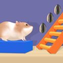 Hamster Stack Maze 8 hamster stack maze