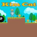 Kim Cat 3 kim cat 1