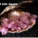 Still Life Jigsaw 3 still life jigsaw